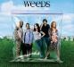weeds3.jpg