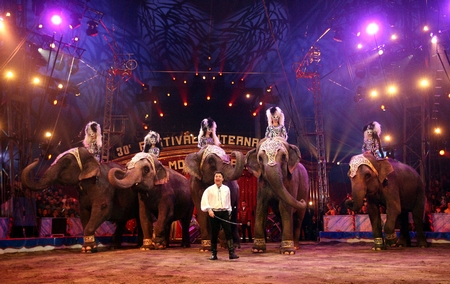 Festival del Circo di Montecarlo, la trentaduesima edizione questa sera su Raitre