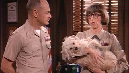 agliordinipapa1 19410