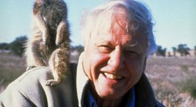 Bbc, David Attenborough finge di essere al Polo Nord, ma è in uno zoo
