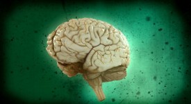 Cosa ti dice il cervello? dal 16 settembre su National Geographic