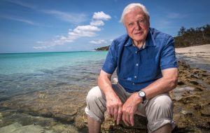 Attenborough e la Grande Barriera Corallina ogni domenica su Focus